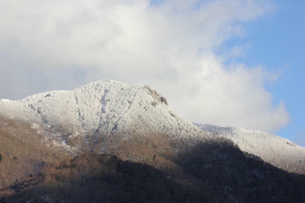 Maison Du Coue Pyrenees Mourtis Gite Pour 2 A 12 Pers Sengouagnet Экстерьер фото